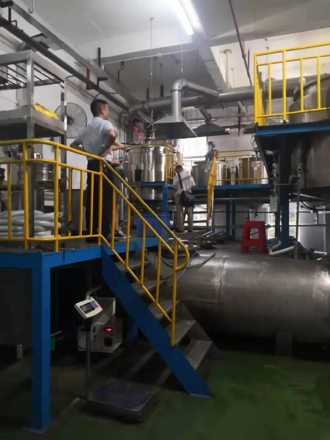 Vitamin C Derivatives Vcys Intermediate API Manufacturing Plant