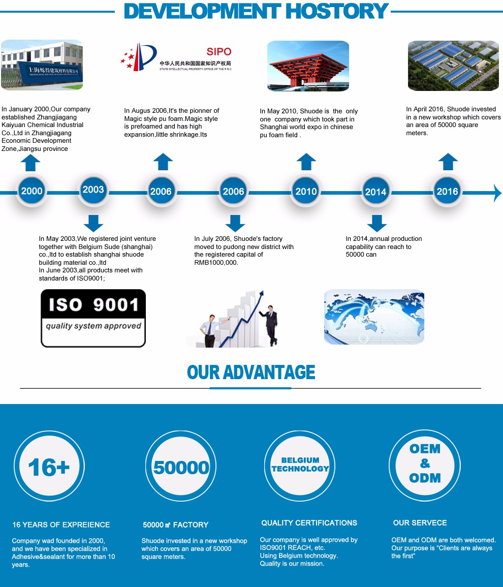 Free sample 300ml 500ml 750ml Expanding PU Foam spray foam