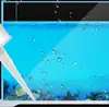 I-acetic ejwayelekile enenhloso ye-acetic glass ye-balant ye-aquarium Advererers 3