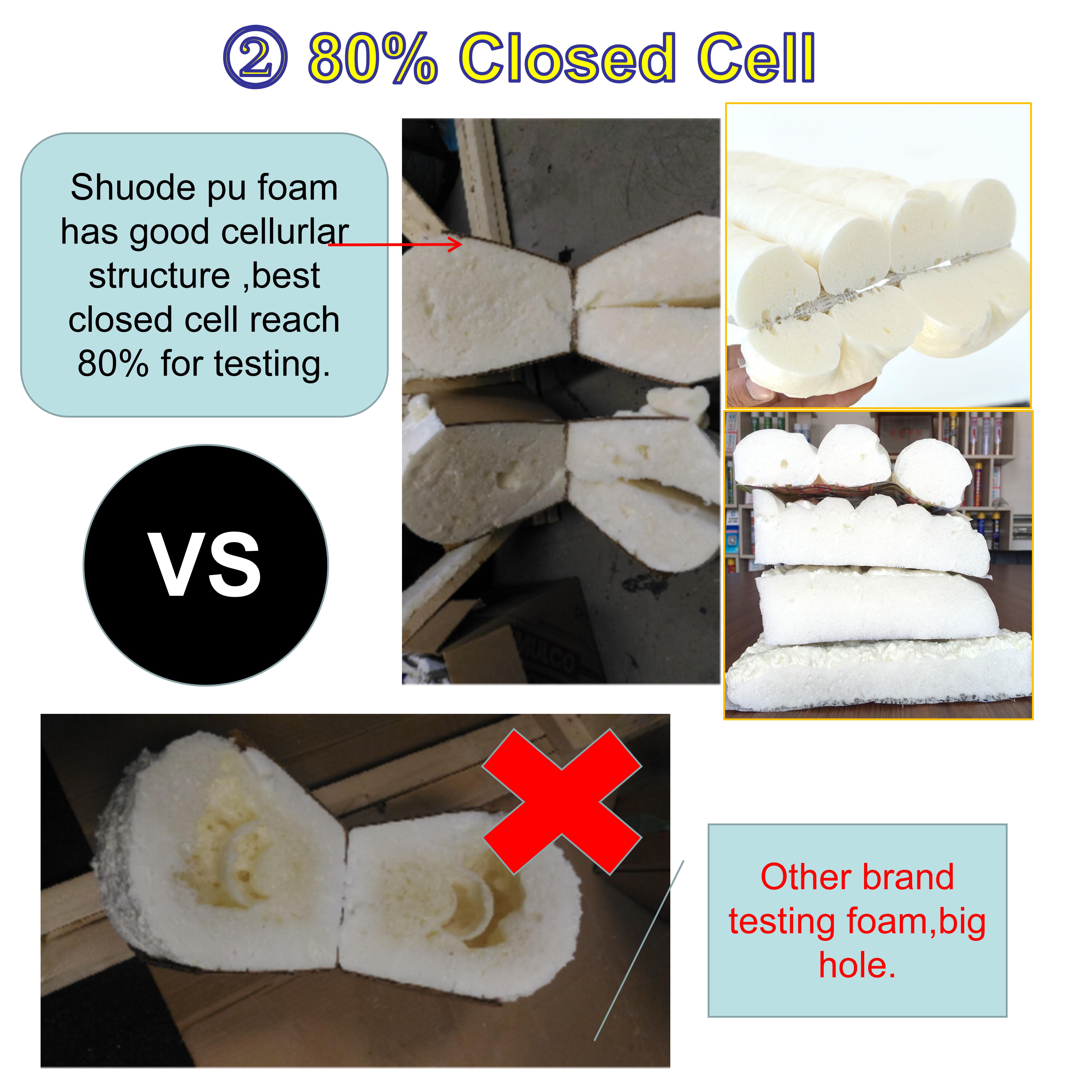 الرغوة صنع Dayson إضافية PU PU السائل مقاوم للماء & مانعات التسرب 12