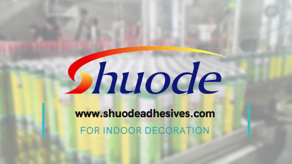 Global investment, welcome cooperation! | SHUODE 6