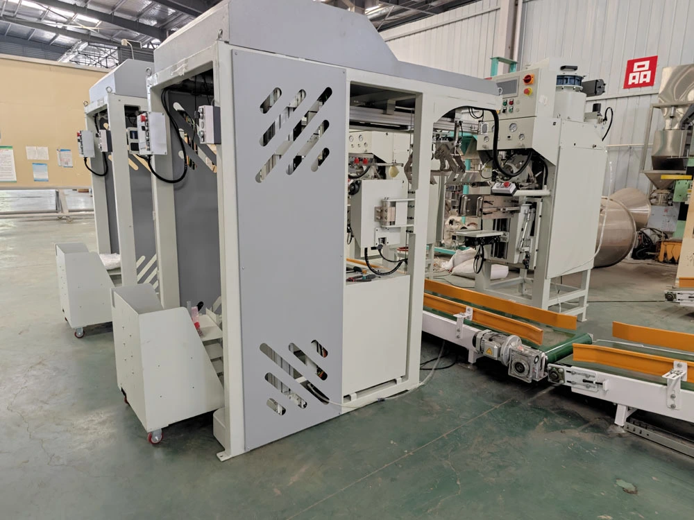 Automatic bag placer for packing machine 1
