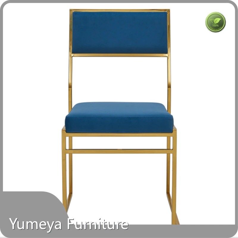 Yumeya Furniture Brand Modern Stainless Steel Dining Chairs Nursing Home Supplier 1