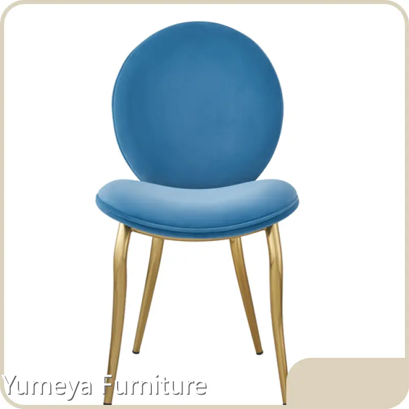 New Modern Stainless Steel Dining Chairs Supply 1