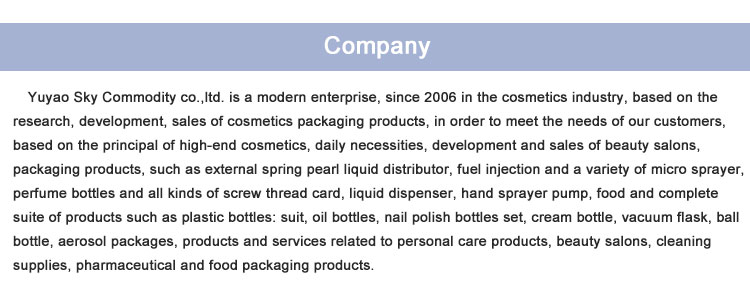 Sky Sprayer - White Fine Mist 500ml Pet Bottle Continuous Spray Fine Spray Gun 11