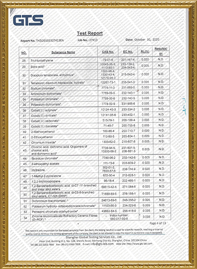 European customers visit SKY SPRAYER company to buy continuous spray 8