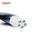 Lisson shampoo squeeze tube packaging cosmetics packaging manufacturer for cleaner 6