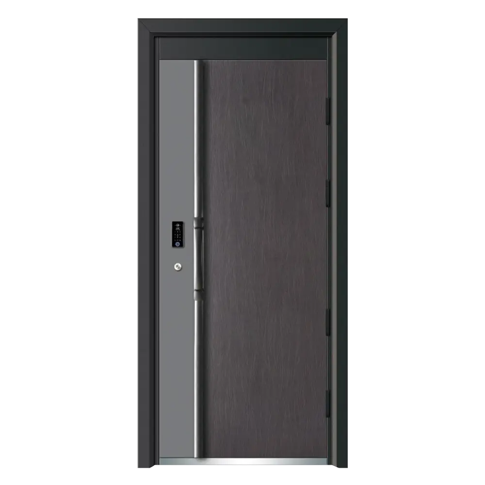 Quality Zonle Brand Zonle Doors Exterior House Desigen Door with Side Post 3