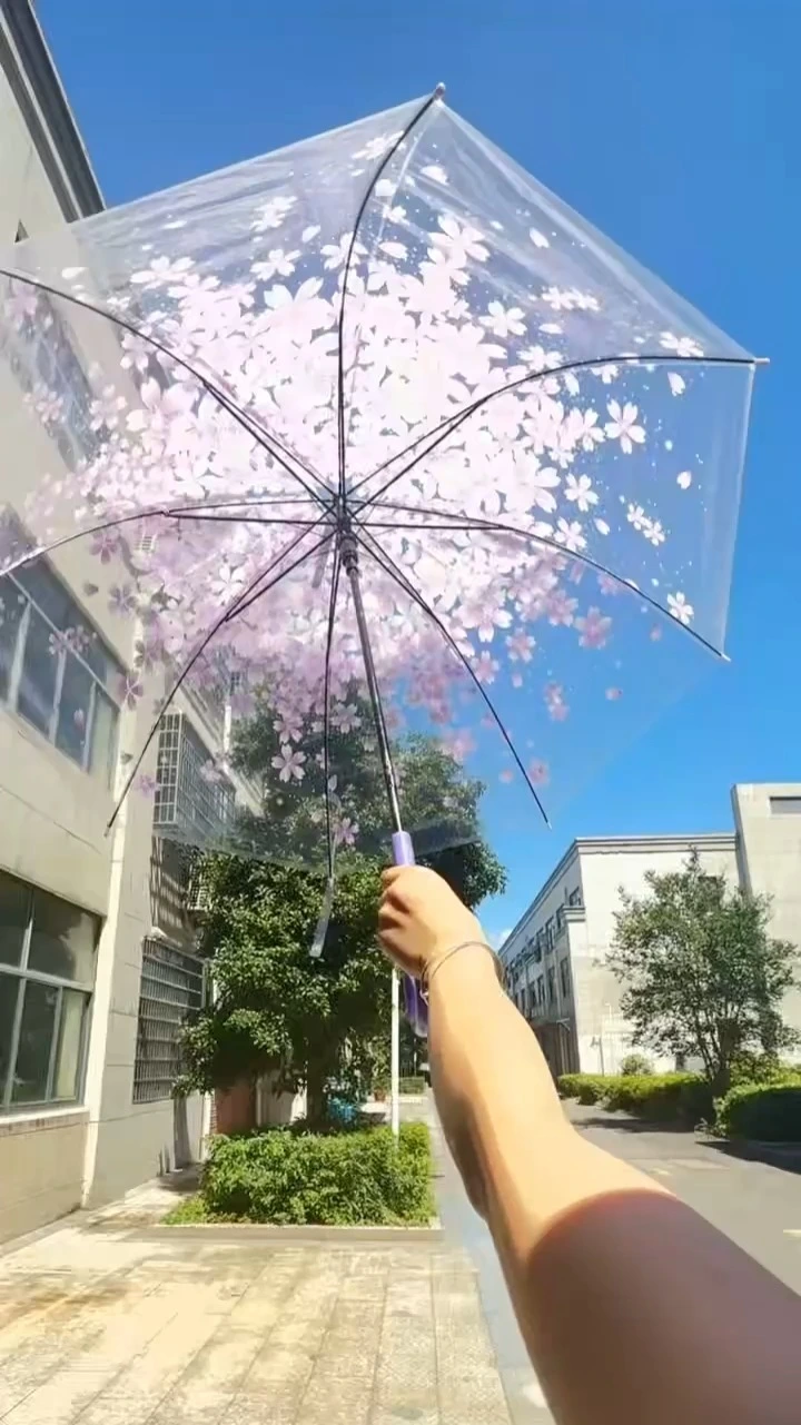 Clear Cherry Blossom Bubble Umbrella Auto Open Windproof Rain Shield 1