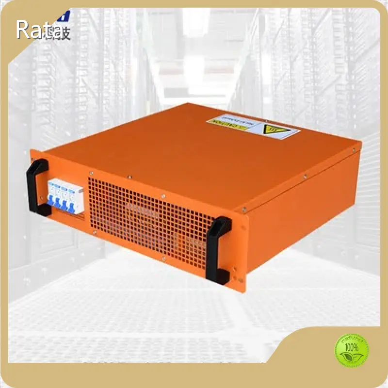 Rata Server Rack Mounted Load Banks for Data Center​ with Good Price-1 1