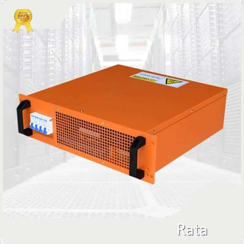 Rata Server Rack Mounted Load Banks for Data Center​ Company-1 1