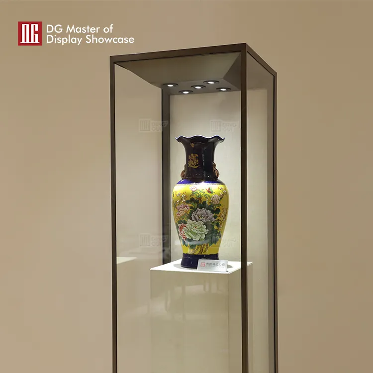 Professional upright glass display cabinet wholesale | DG Display Showcase 5
