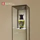 Professional upright glass display cabinet wholesale | DG Display Showcase 5