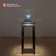 High-end Jewelry Showcase with Adjustable Lighting 5