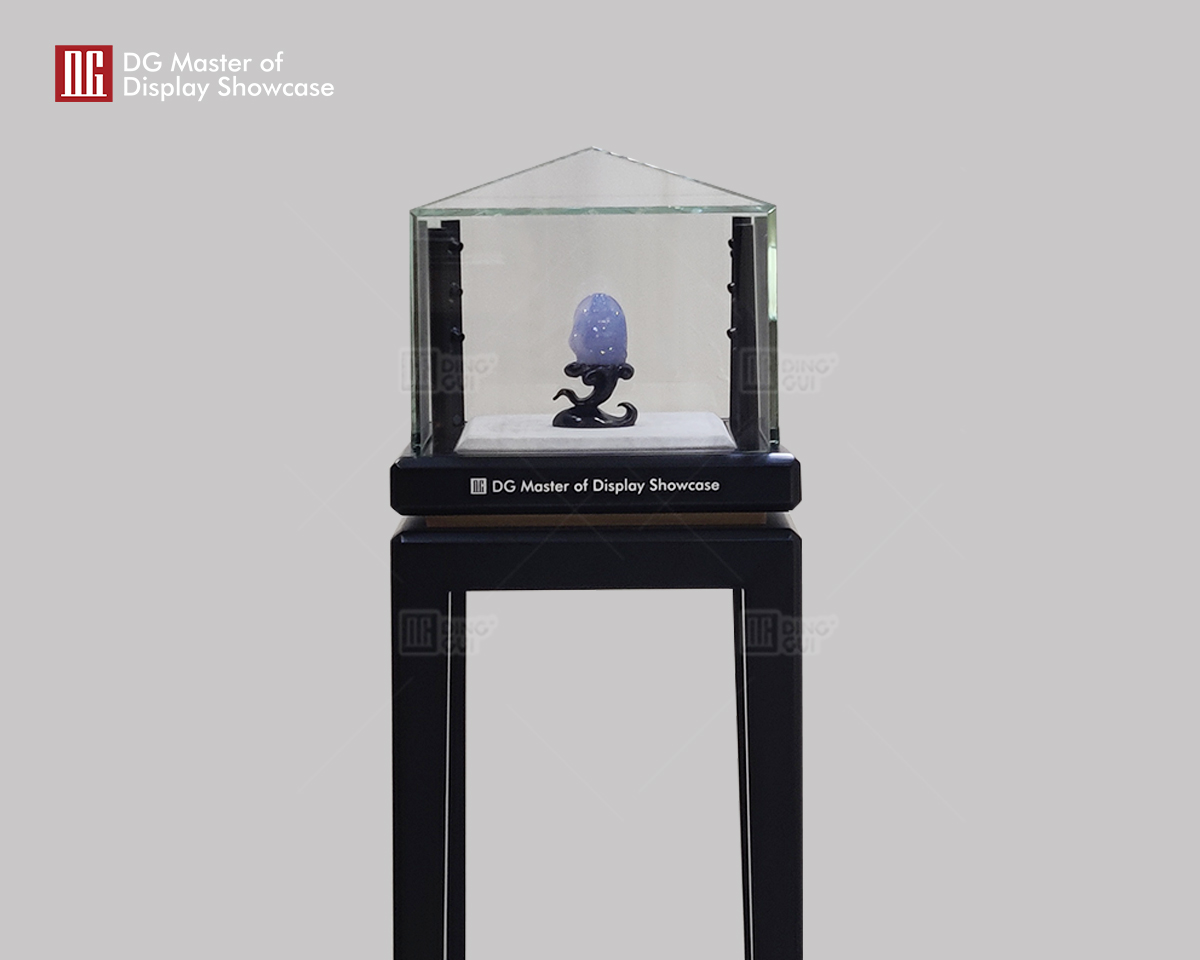DG Showcase Classic Luxury Jewelry Watch Display Cabinet Custom Showcase Interior Design 8