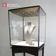 High-End Jewelry Display Showcase: Upright Display Cabinet 5