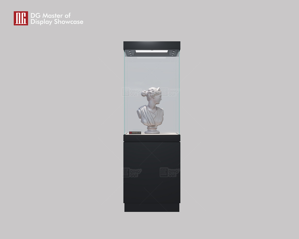 DG black high-end upright custom museum display showcase 6