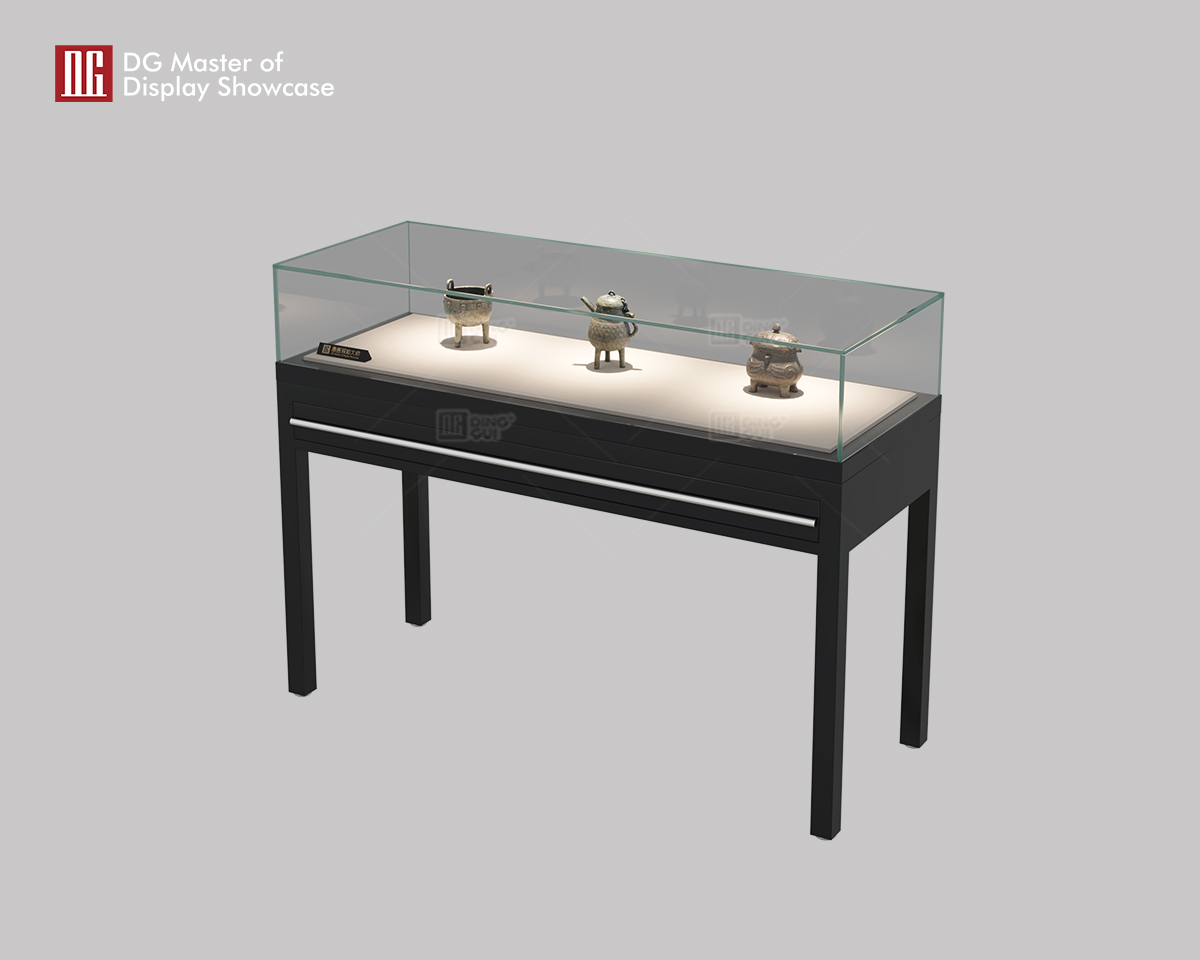 DG Display Showcase | one stop solution High End Museum Showcase design solution 9