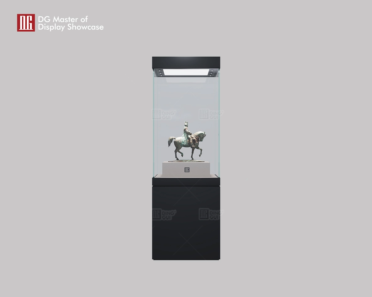 DG's New High-End Art and Collectibles Museum Display Showcase 1