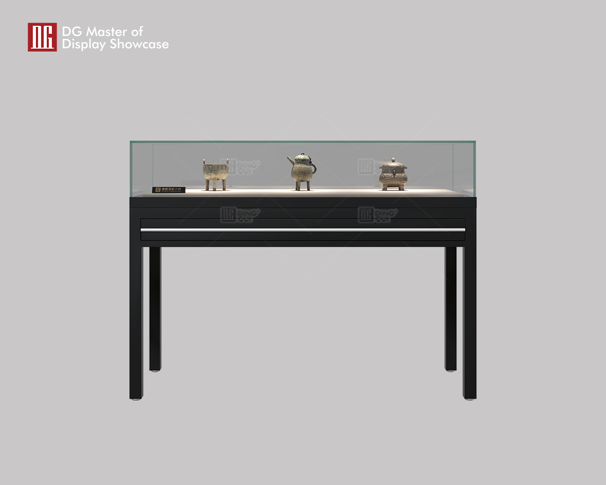 DG Display Showcase | one stop solution High End Museum Showcase design solution 6