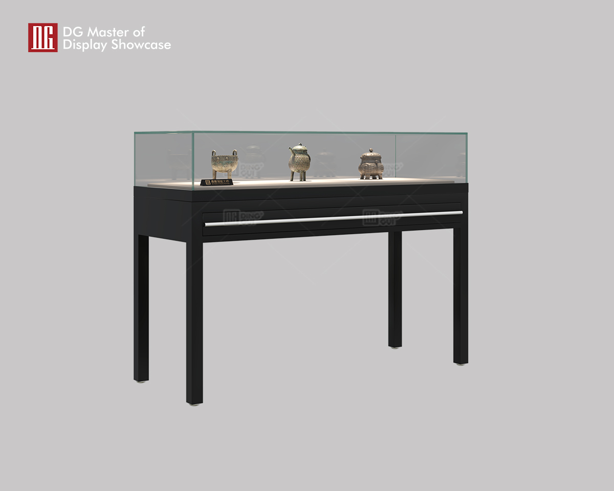 DG Display Showcase | one stop solution High End Museum Showcase design solution 7