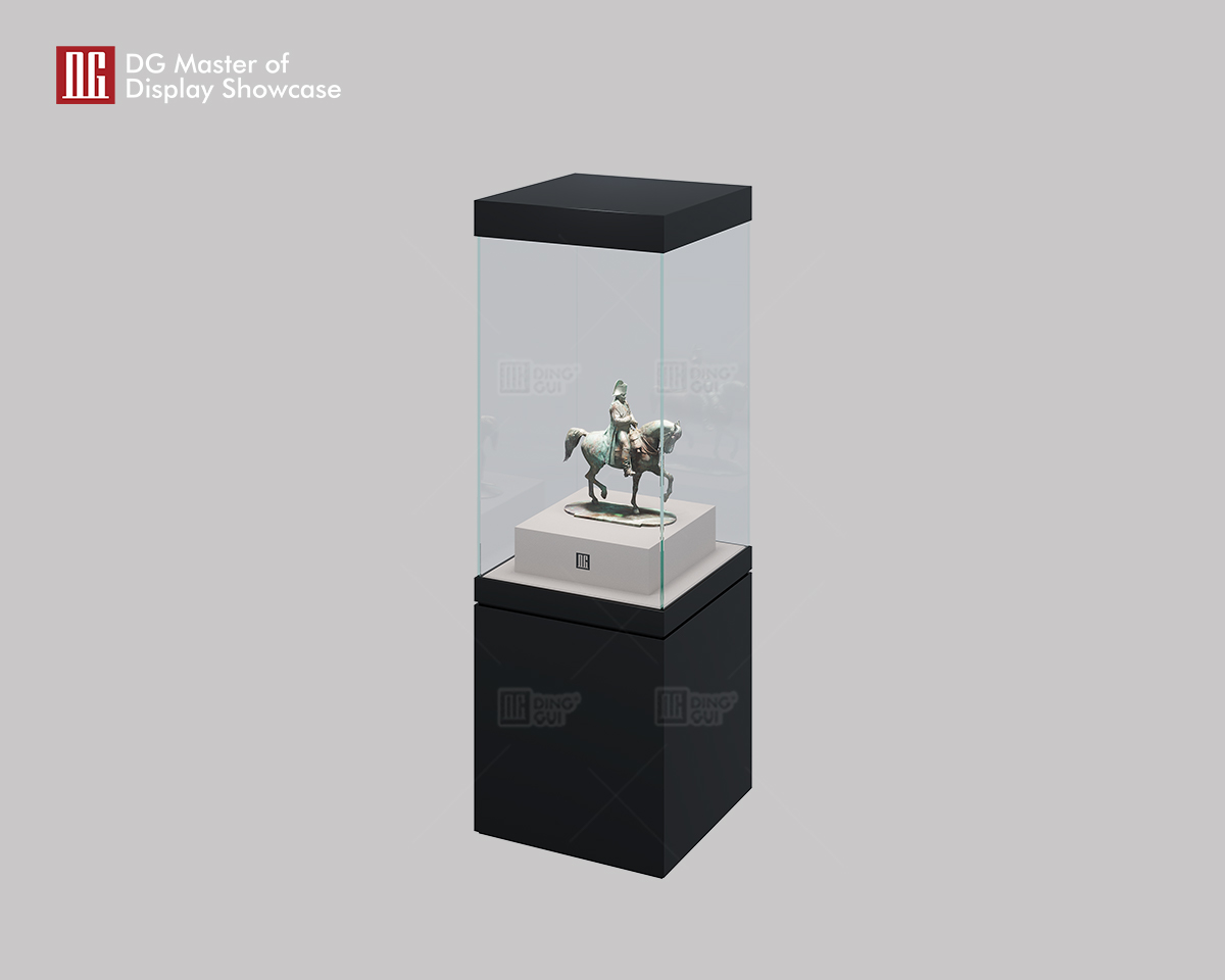 DG's New High-End Art and Collectibles Museum Display Showcase 9