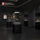 DG Custom Museum Display Showcase - Premium Design & Quality 5