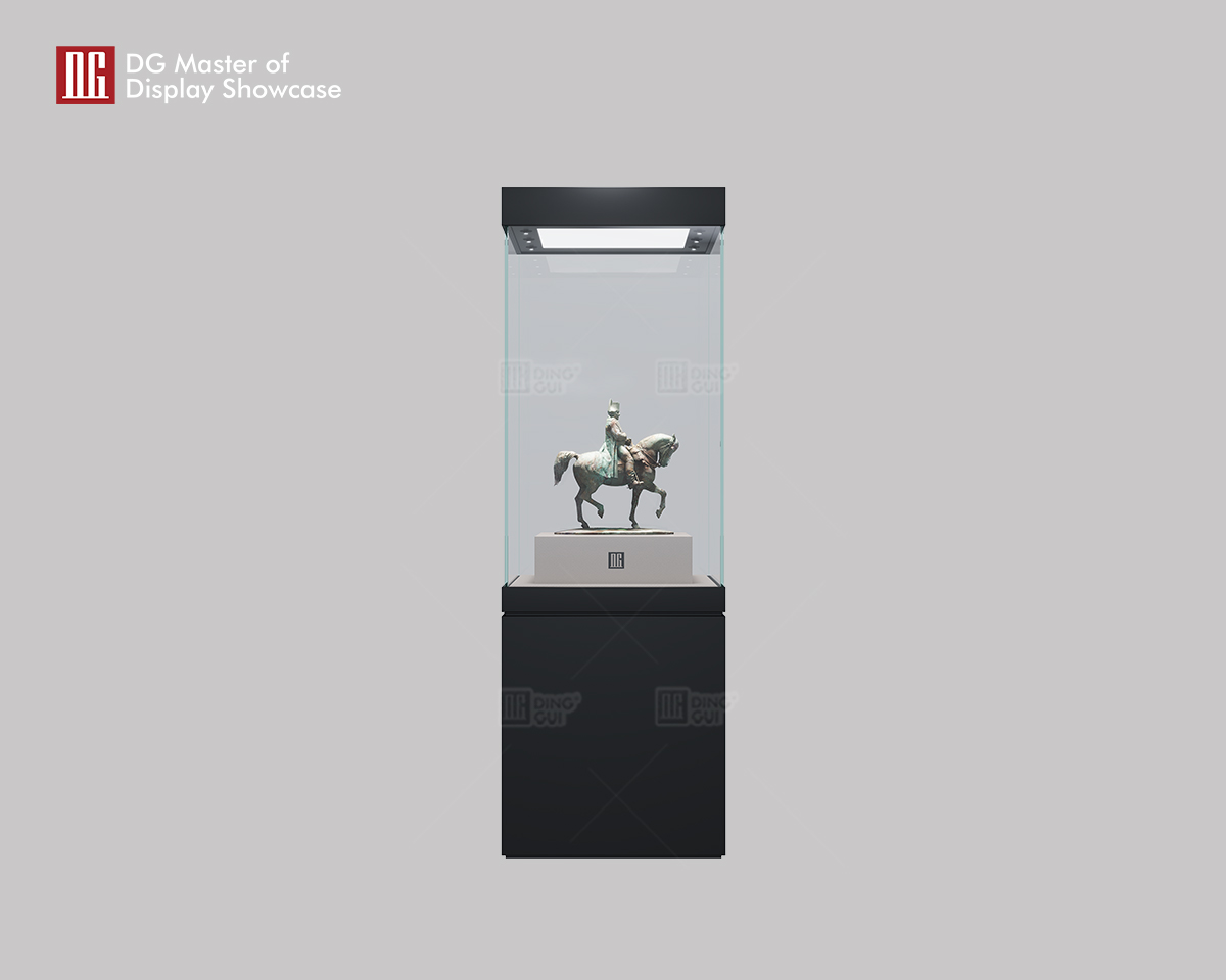 DG's New High-End Art and Collectibles Museum Display Showcase 6