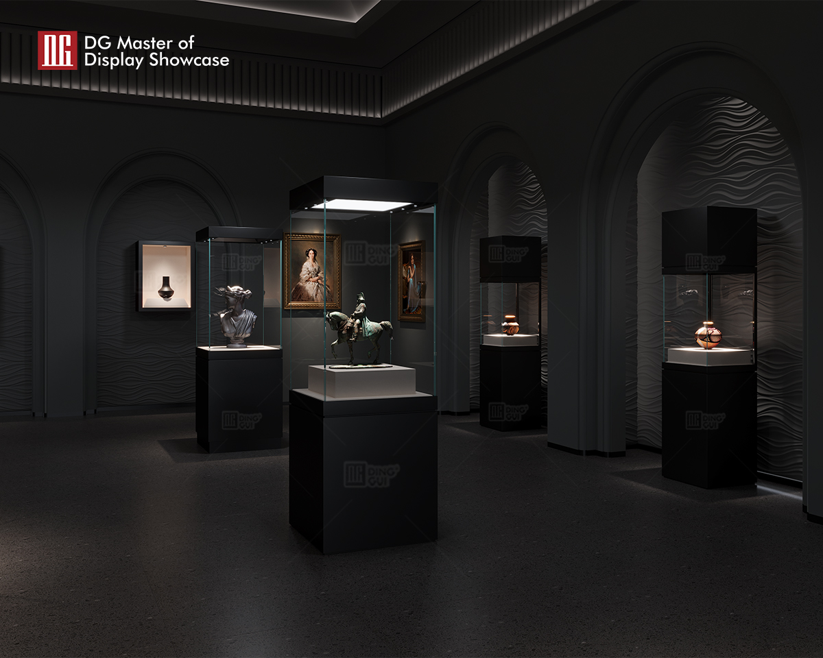 DG's New High-End Art and Collectibles Museum Display Showcase 10