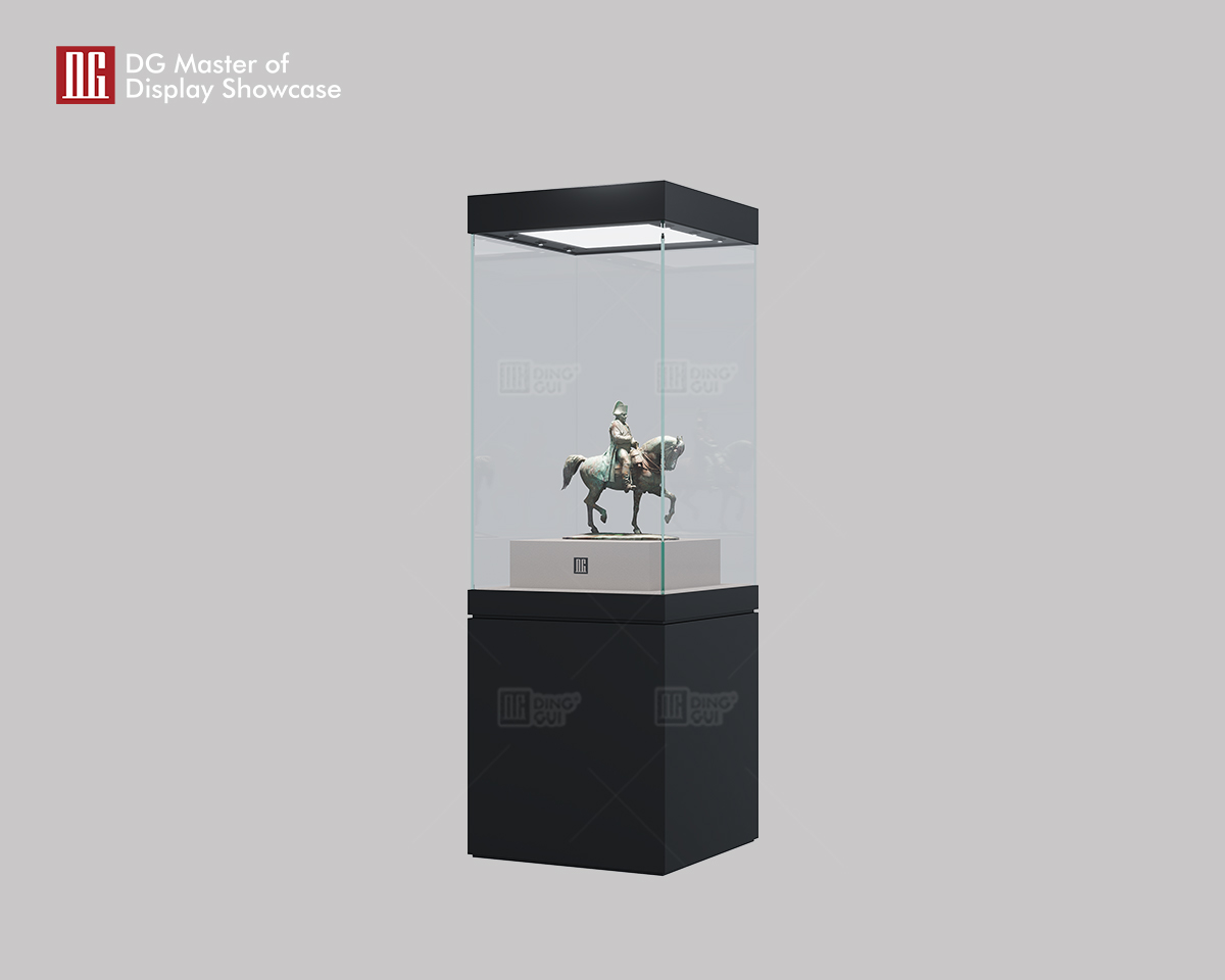 DG's New High-End Art and Collectibles Museum Display Showcase 8