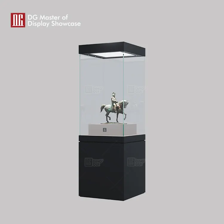 DG Custom Museum Display Showcase - Premium Design & Quality 3