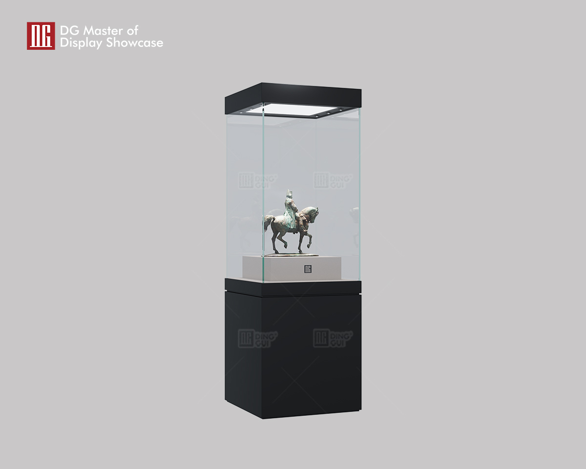 DG's New High-End Art and Collectibles Museum Display Showcase 7