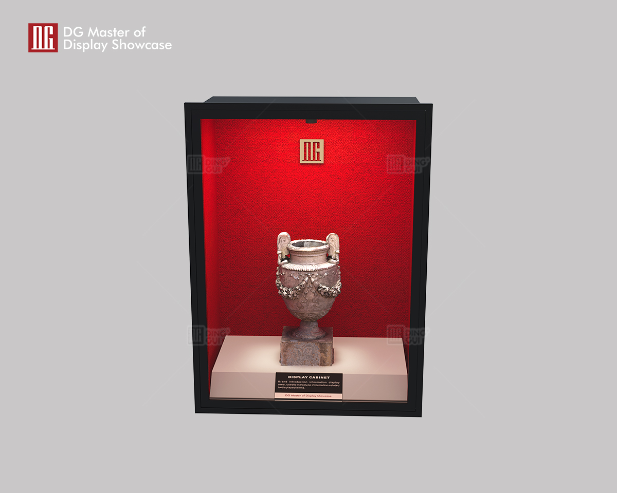 DG Master of Display Showcase Latest Museum Built-in Wall Showcase 9