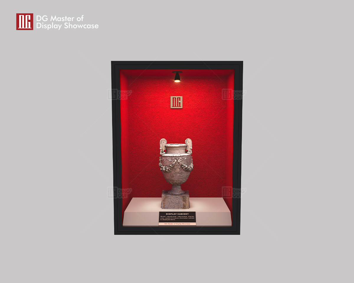 DG Master of Display Showcase Latest Museum Built-in Wall Showcase 6