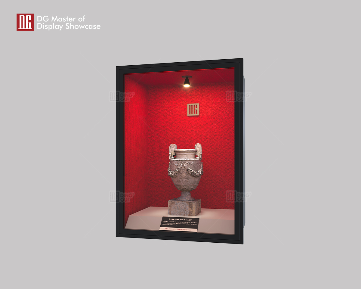 DG Master of Display Showcase Latest Museum Built-in Wall Showcase 7