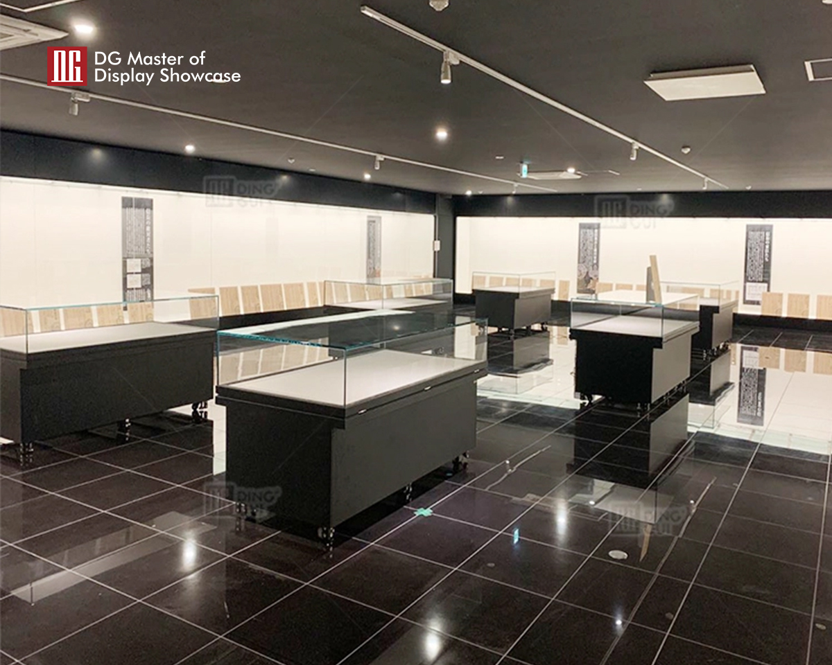 DG Showcase High end Museum Display Vitrine Cabinet Showcase Display Cases Modern Design 9