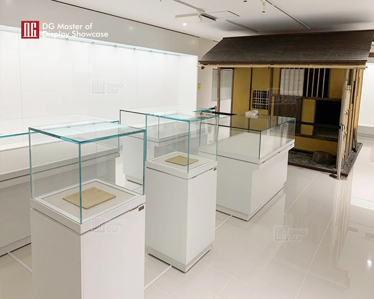 DG Showcase High end Museum Display Vitrine Cabinet Showcase Display Cases Modern Design 10