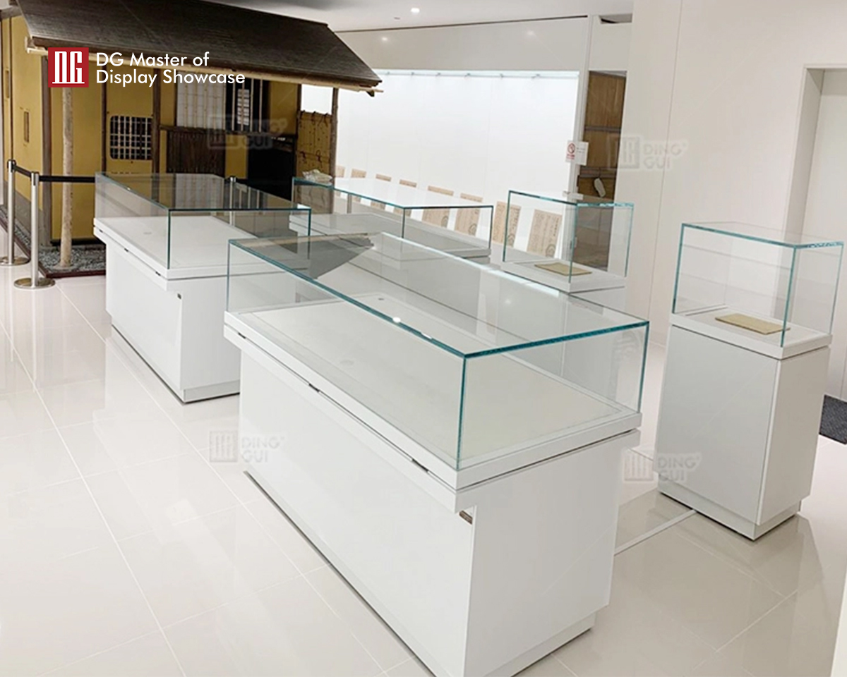 DG Showcase High end Museum Display Vitrine Cabinet Showcase Display Cases Modern Design 11