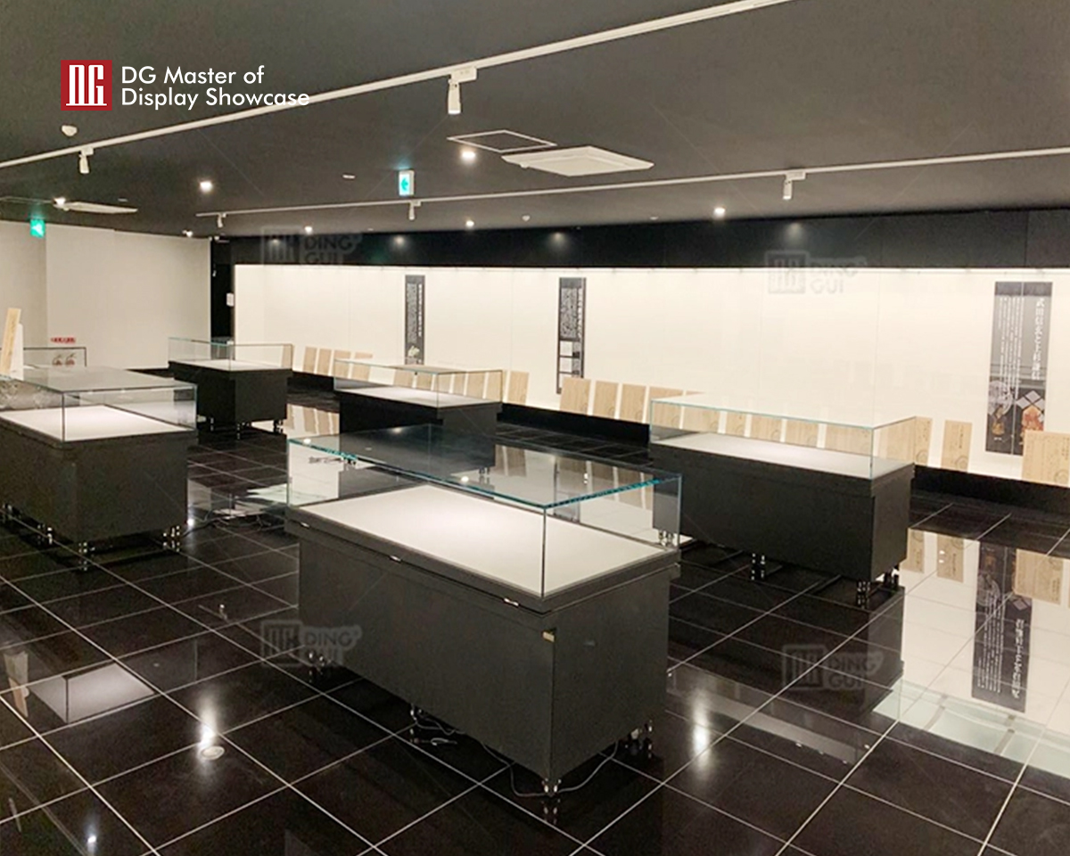DG Showcase High end Museum Display Vitrine Cabinet Showcase Display Cases Modern Design 8