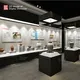 Luxury Museum Exhibit Cases 2
