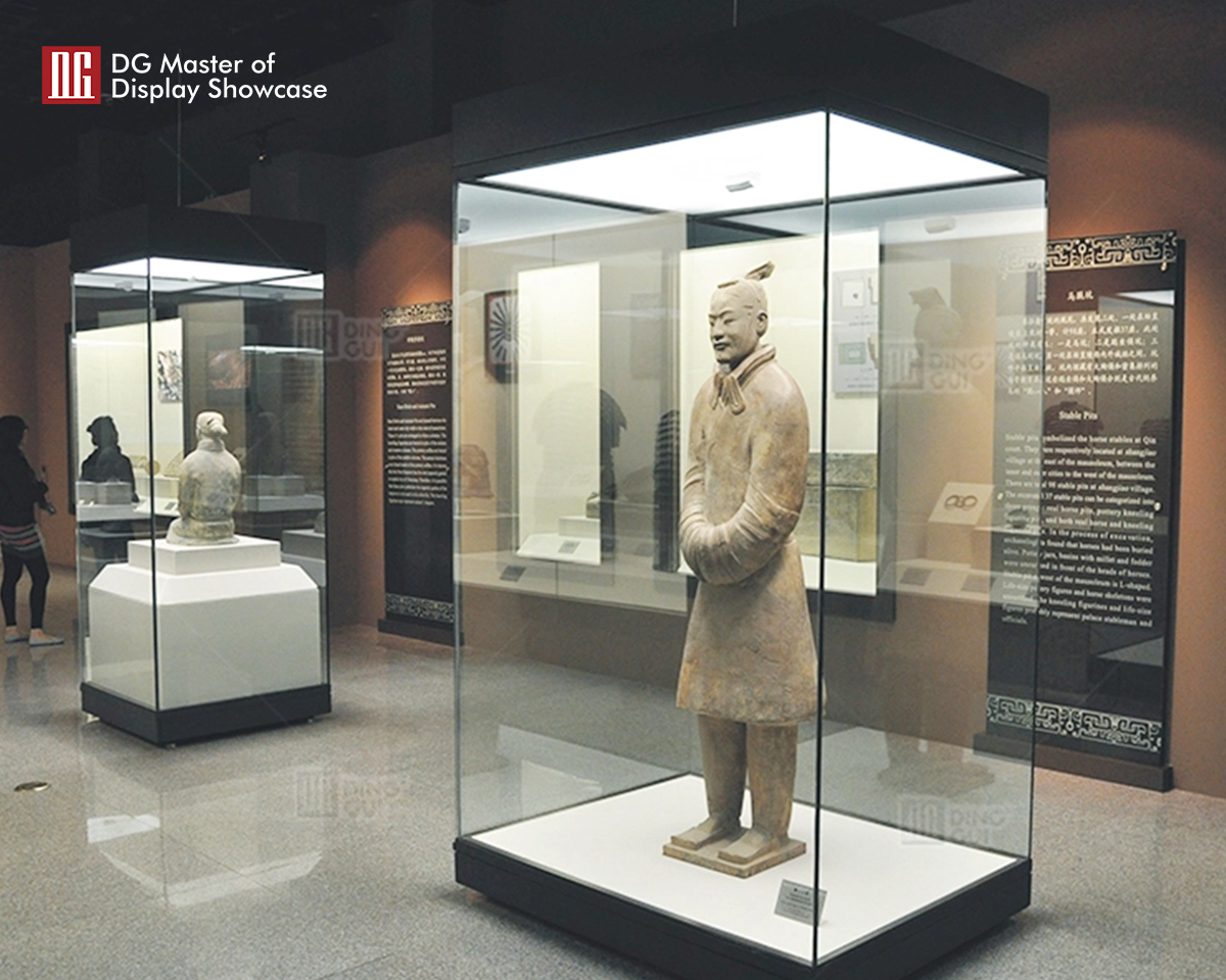best price custom museum shwocase dispaly top brand | DG Display Showcase 8