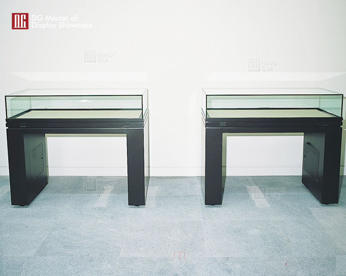 best price custom museum shwocase dispaly top brand | DG Display Showcase 12