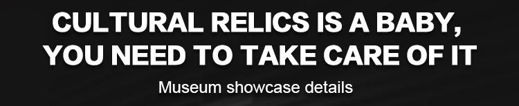 DG Showcase Custom Museum Exhibit Case Antique Display Showcase Attractive Design 9