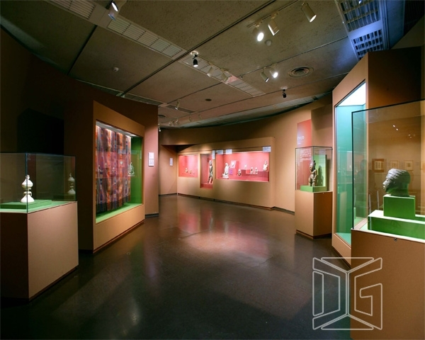 DG Showcase Αντίκες Μουσείου Ντουλάπια Βιτρίνας Νέας Σχεδίασης προς Πώληση 1