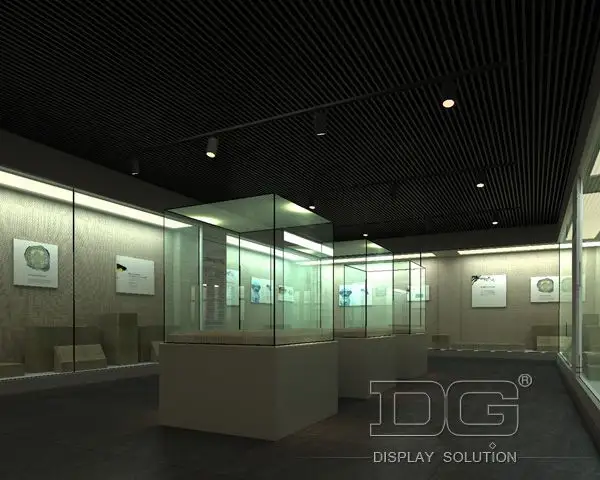 wholesale Museum showcase at Wholesale Prices | DG Display Showcase 3