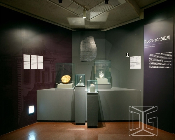 DG Showcase Collectible Museum Display Showcases Free Design From China 1