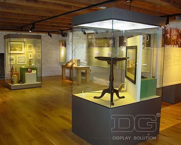 DG Showcase High End Museum Display Cases Climate Controlled Quality Showcase 1