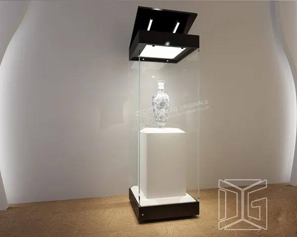 DG Display Showcase | top Antique Museum Display Showcase supplier 3