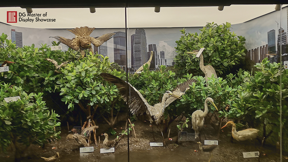 Projekt výstavy Národního biologického muzea v Macau 10