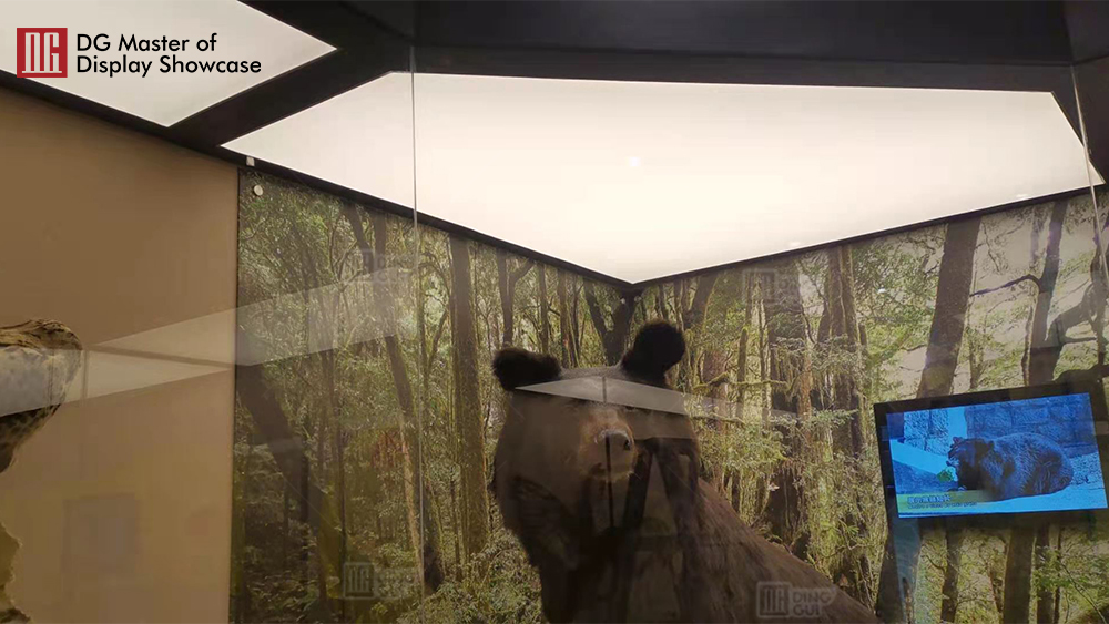 Projekt výstavy Národního biologického muzea v Macau 12